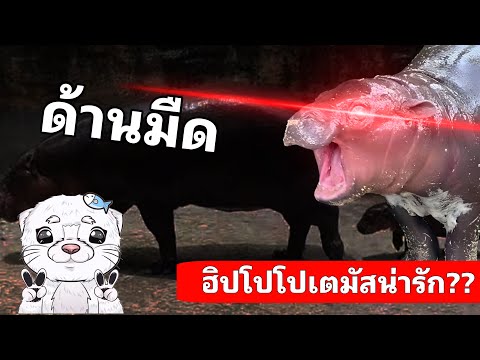 เปิดเรื่องลับEp.1สิ่งที่คุณอา