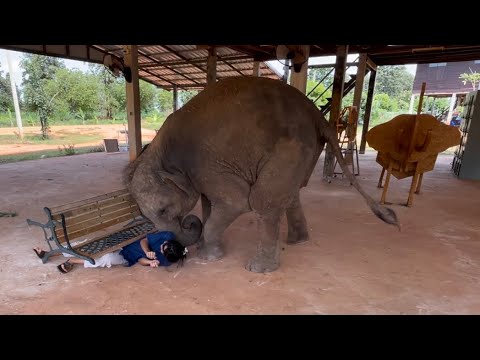 น่ารักมาก-วินาที❗️สุพรรษา-ช่วย น่ารักมาก-วินาที❗️สุพรรษา-ช่วย