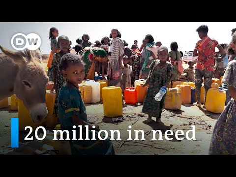 Concern grows over looming famine in Ethiopia | DW News