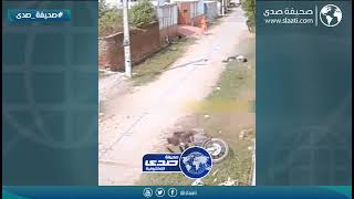 ثور يتعرض لشاب في حادثه مخيفه