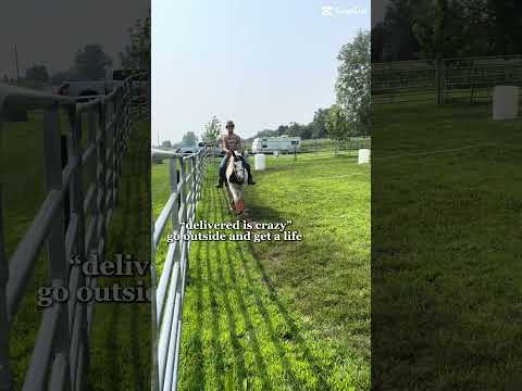 Get if the dang phone and have a life #horse #equestrianjourney #farrier #horsebit