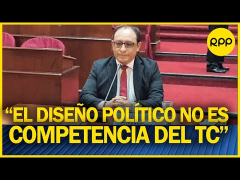 Gustavo Gutierrez -Ticse: “El diseño político no es competencia del TC”
