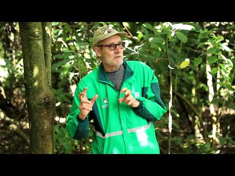 Restaurando la naturaleza y el ser | David Rivera