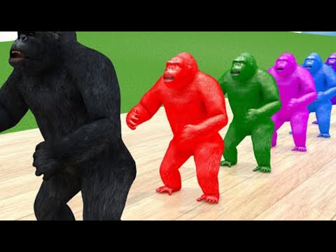 Baby Boss - Dance Monkey ( cute little kids video) gorilla🦍