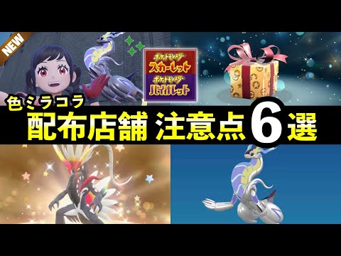 色違いコライドン・ミライドンの配布場所と注意点解説【ポケモンSV】 サムネイル