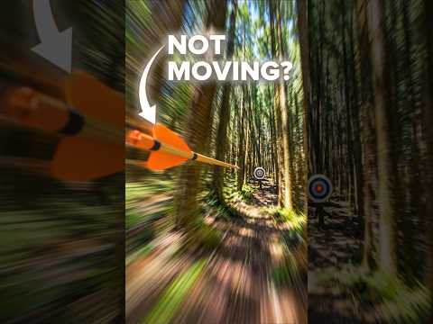 Is a Moving Arrow NOT Actually Moving?