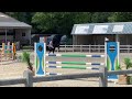 Springpaard Super mooie kwaliteitsvolle schimmel ruin