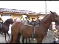 Cavalo Ecitado