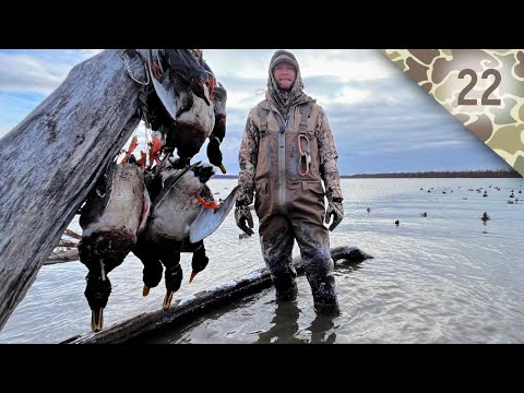 Big Water Mallards in Bitter Cold