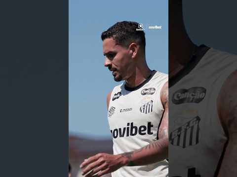 image para ilustrar o artigo