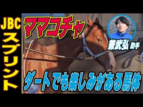 【JBCスプリント2025】ママコチャ・兼武弘助手インタビュー「ダートでも楽しみがある馬体」「スタートが鍵に」《東スポ競馬》