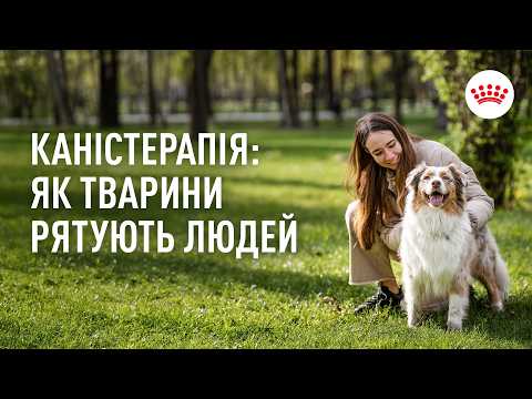 Каністерапія в Україні: як Royal Canin будує мережу психологічної реабілітації з тваринами