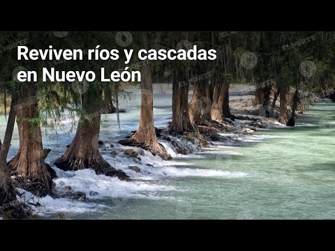 Reviven ríos y cascadas en Nuevo León | Monterrey