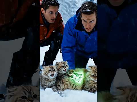 Two Men Save a Mother Cat and Her Two Kittens in the Snowy Field
