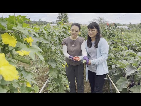 Agricultural cooperation with China benefiting Samoan people