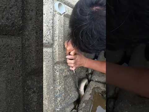 誰もやらない隙間からとんでもないのが出てきます