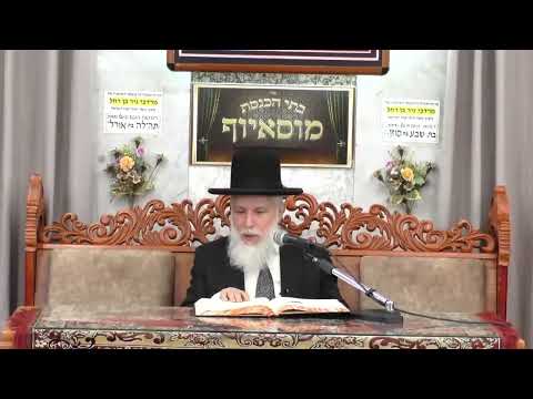 הרב זמיר כהן הלכות בורר בשבת