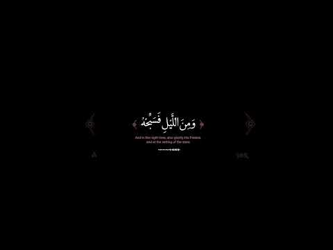 القارئ ماهر المعيقلي