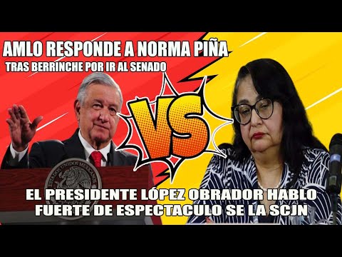 #ÚltimaHora¡ ESTO LE RESPONDIÓ #AMLO A NORMA PIÑA POR CIRCO DE IR AL SENADO POR TEMA DE FIDEICOMISOS