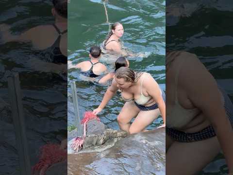 Flow Like the Falls 🌊 | Wild Freedom Awaits #travel #waterfall