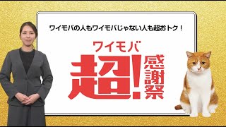 AIクルーが説明！ワイモバ超！感謝祭