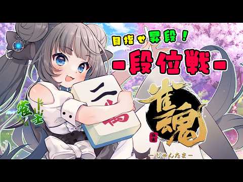 【雀魂】段位戰★魔境・銀の間で昇段目指します♪應援よろしくお願いします【 Vtuber #星羅ニア 】