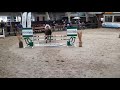 Allround chevaux GERESERVEERD: super mooi, leuk en lief allround paard!
