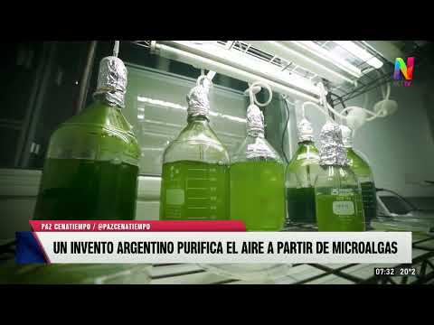 Invento argentino purifica el aire a partir de microalgas