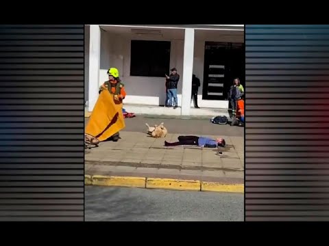 'Firulais' se vuelve viral al hacerse el muerto durante simulacro en Chile