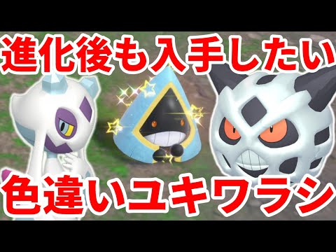 【ポケモンSV】色違い確率アップ！色違いユキワラシから色違いオニゴーリと色違いユキメノコが作りたい！【ポケモンスカーレットバイオレット・ゼロの秘宝】