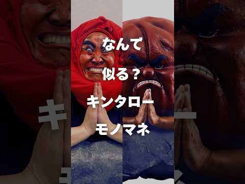 キンタローの似る理由とモノマネの裏側に迫る サムネイル