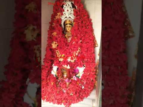 🙏🏻😇🌺🌺#santoshi #santoshimaa #maasantoshi #santoshimata #shorts #bhajan #somyaranjitavlogs #trending