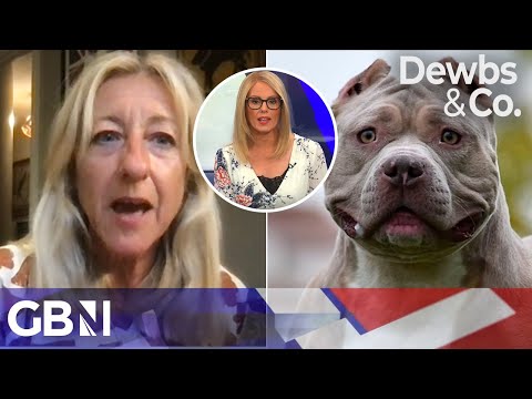 Dangerous Dogs | Should the XL Bully be banned in the UK?