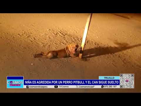 Trujillo: niña es agredida por un perro pitbull y el can sigue suelto