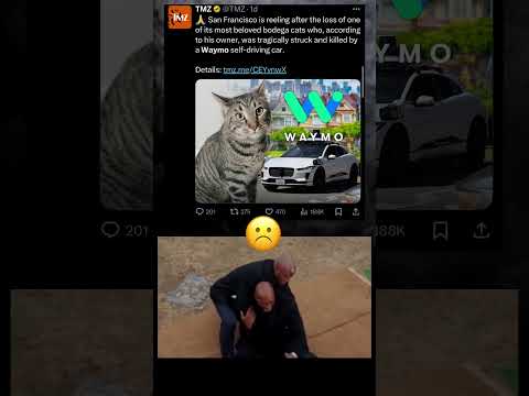 Waymo count ur days #rip #cat #waymo #sanfrancisco #restinpeace