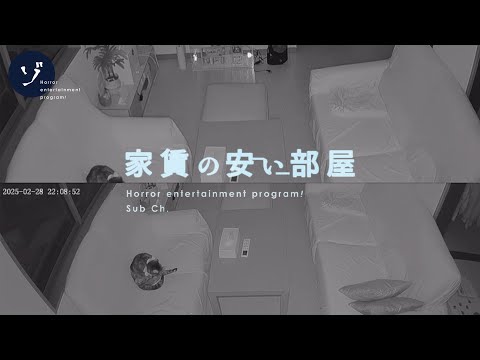【投稿動画】見守りカメラが捉えた浮遊する不可解な影！