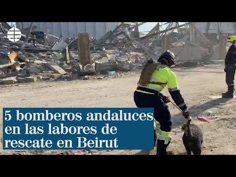 Varios bomberos andaluces viajan al epicentro de la explosión en Beirut para ayudar en los rescates