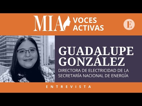 Guadalupe González: 'El mundo piensa cada vez más verde; Panamá aporta con la transición energética'