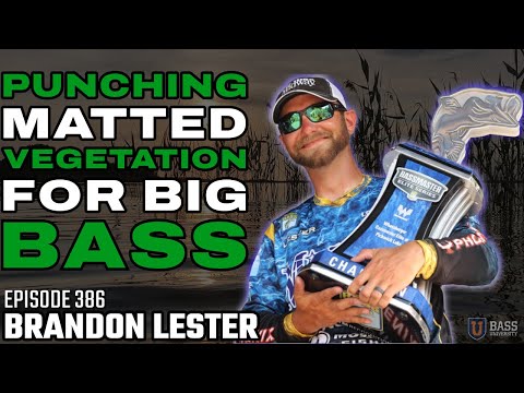 The Most Exciting Way to Catch Bass | Punching Matted Vegetation - Brandon Lester