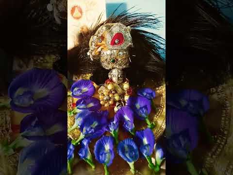 हमारे सद्गुरु देव भगवान जी क्या कहते हैं 🦚🙏 #motivation #premanandjipravachan