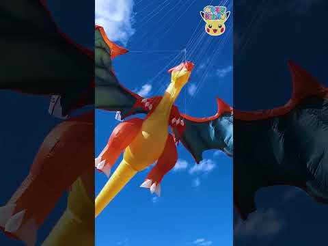 【ポケモン公式】ポケモン Shorts ~メガシンカ!ポケモン巨大カイト〜 #ポケモンKidsTV