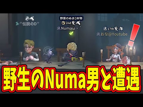 【第五人格】裏で回してる野生のNumaさんに遭遇したけど、どうやら偽物らしい【IdentityⅤ】