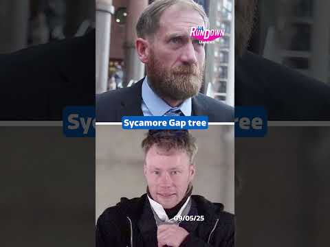 Prison for the men who cut down the Sycamore Gap tree  #itvnews #therundown #sycamoregaptree