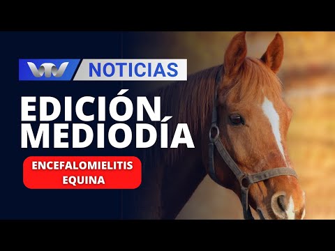 Edición Mediodía 27/11 | Alerta en MGAP por caballos con sintomatología respiratoria y nerviosa