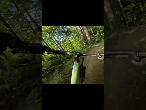 Bukovel - Black Heart #mtb #freeride #downhill