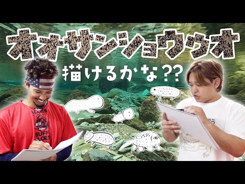 オオサンショウウオ描けるかな？？