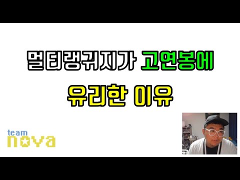 멀티랭귀지가 고연봉에 유리한이유