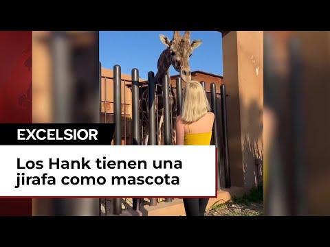 Familia Hank presume jirafa como mascota y activistas buscarán quitársela