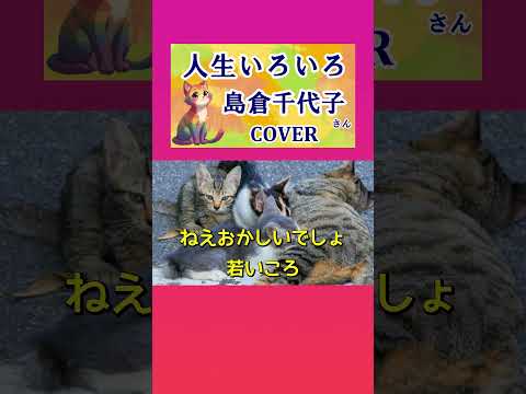 人生いろいろ(島倉千代子) cover #shorts 切抜  歌ってみた　歌詞付き　猫歌で猫生色々