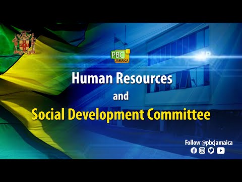 Human Resources and Social Development Committee - June 29, 2022